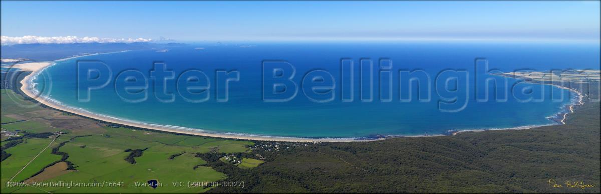 Peter Bellingham Photography Waratah - VIC (PBH3 00 33327)
